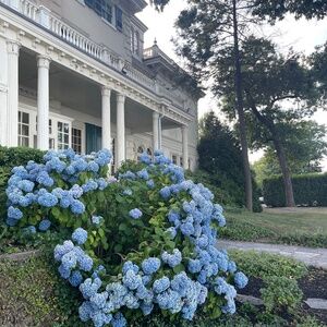 Meet your Posher, Allyson